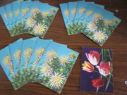 16 открыток Цветы 1977 г