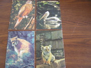 4 открытки с животными и птицами